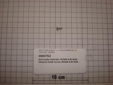 Cylinder screw DIN84,M3x8mm,4.8,galvanized