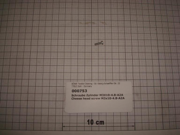 Cylinder screw DIN84,M3x10mm,4.8,galvanized