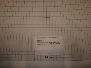 Cylinder screw DIN84,M3x18mm,4.8,galvanized