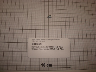 Cylinder screw DIN84,M4x6mm,4.8,galvanized