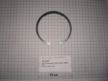 Circlip 100x3