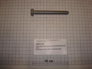 Hexagon screw DIN933,M12x100mm,8.8,galvanized