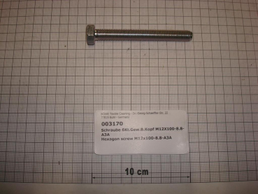 Hexagon screw DIN933,M12x100mm,8.8,galvanized