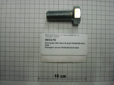 Hexagon screw DIN933,M20x50mm,8.8,galvanized