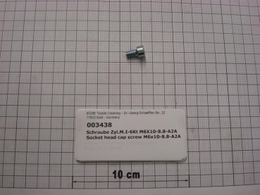 Cylinder screw DIN912,M6x10mm,8.8,galvanized