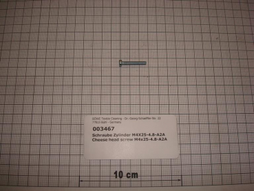 Cylinder screw DIN84,M4x25mm,4.8,galvanized