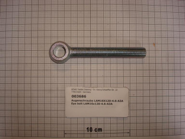Eye bolt M16x120
