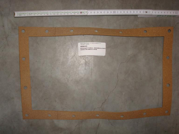 Gasket,square,293x485x3,2mm,18-holes,P470