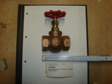 Steam hand valve,DN25,1",red brass,w.teflon gasket+hand wheel
