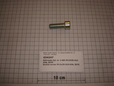 Cylinder screw DIN912,M12x35mm,8.8,galvanized