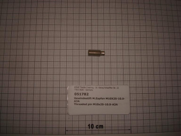 Threaded pin,DIN915,M10x25mm,10.9,galvanized,P470,SI70