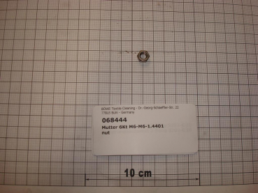 Hexagon nut,DIN934,M6,A4 stainless steel 1.4571