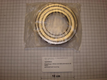 Grooved ball bearing,65x120x23mm,P422 back bearing