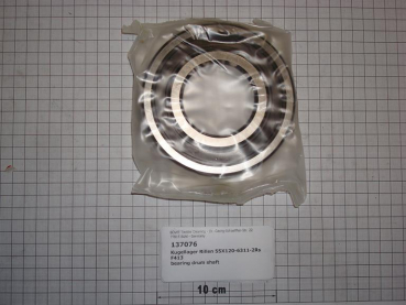 Grooved ball bearing,55x120x29mm