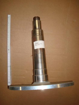 Flanged shaft P422