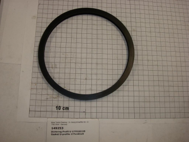 Gasket,round,u-profile,161x181x9mm,viton,water separator