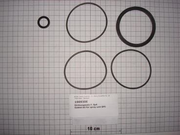 Gasket kit for spray unit SP5