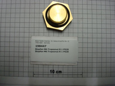 Plug,1",SW50,brass,5th gen.,P240,P300