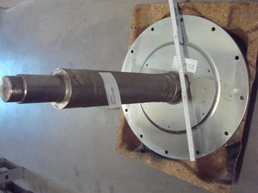 Flanged shaft P564