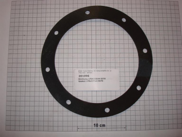 Gasket,round,170x225x4mm,8-holes,SI70
