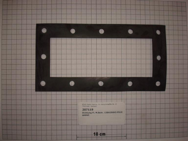 Gasket,square,130x250x3mm,12-holes,flat,P5100