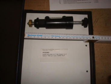 Valve w/o seat, 3/4",NO,COMET,P/M