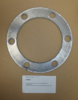 Gasket,round,195mm,6-hole,f. heater 6000W,SB5 steam generator