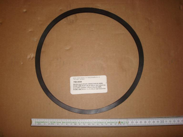 Gasket ring u profile 290x274x10