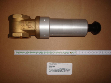 Gate valve pneumatic,2",straight,P520-540/P240-300/P17+25