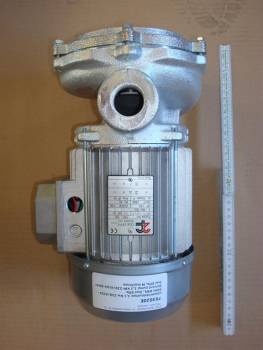Solvent pump DueEffe 50Hz M12-30