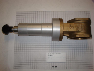 Gate valve pneumatic,3",straight