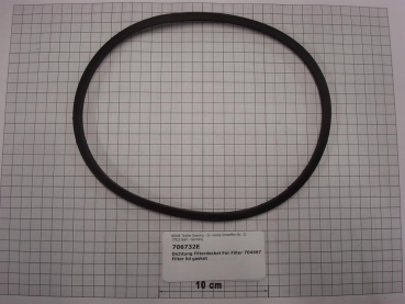 Gasket,round,205x220x10mm,profile,filter cap for cartridge filter,704466+704467
