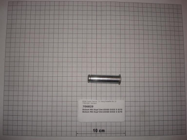 Bolt,16x60,5x55,5mm,SI70