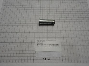 Bolt,18x57x50,5mm,SI70