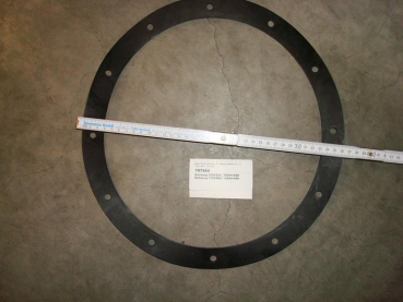 Gasket,round,320x380x4mm,12-holes,350mm,SI70
