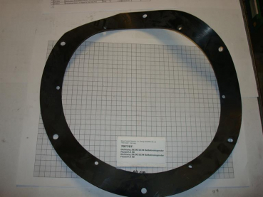 Gasket,round,312x392x4mm,6-holes,self-cleaning button trap,K50