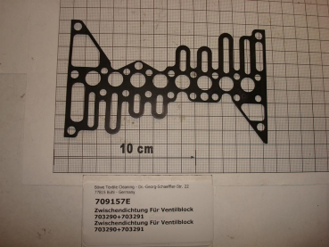 Gasket for valve block 703290 and 703291
