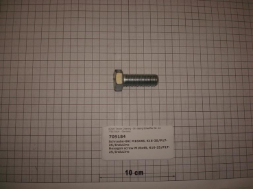 Hexagon screw M16x45