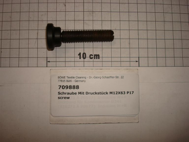 Screw M12x63mm