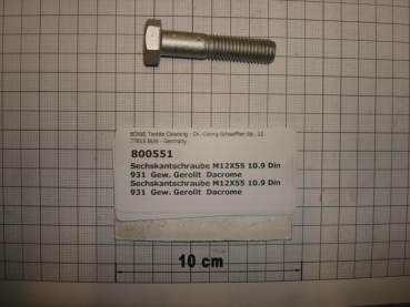 Hexagon screw DIN931,M12x55mm,10.9,galvanized