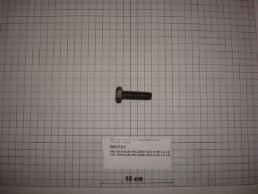 Hexagon screw DIN933,M12x40mm,10.9,galvanized, P/M12-18
