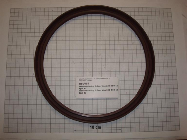 Shaft seal,220x250x15mm,viton,FPM80,InduLine