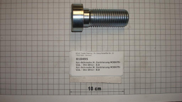 Cylinder screw,w.centering,M30x75mm,galvanized,DIN6912,8.8