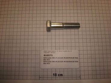 Hexagon screw DIN931,M16x70mm,8.8,galvanized
