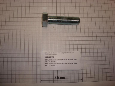 Hexagon screw DIN933,M20x75mm,8.8,galvanized