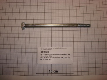 Hexagon screw DIN931,M10x170mm,8.8,galvanized