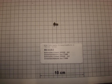 Lens head screw M5x8mm,A2 stainless steel,ISO7380
