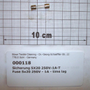 G-Sicherung,5X20mm,250V-1A-Träge,Feinsicherung