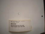 Toothed washer,A4,3mm,galvanized,DIN6797