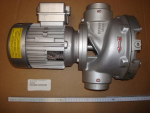 Lösemittelpumpe,1 1/2"x1 1/2",210/480V-60Hz,1,1KW,P564,P5100